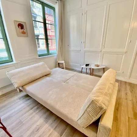 Appartement Le Cocon Du Robec Rouen